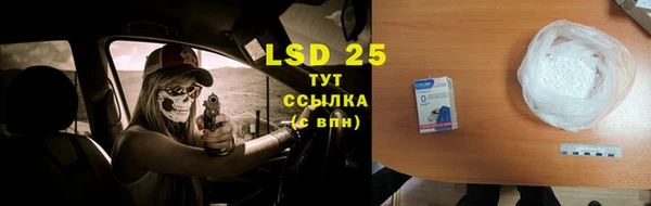 сатива Новодвинск