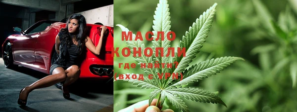 сатива Новодвинск
